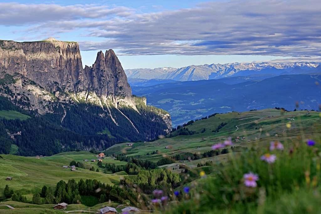 Paradiso Pure.living Vegan 4* Alpe Di Siusi